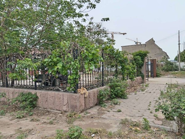 盛康配资 故乡，闰土，乡情 - 海报新闻