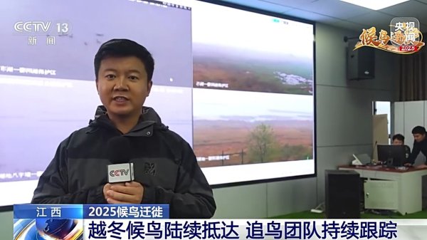 金财配资 追更鸟鸟“旅居日记” 越冬候鸟陆续抵达鄱阳湖