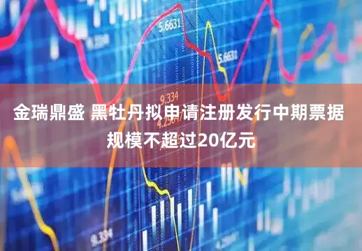金瑞鼎盛 黑牡丹拟申请注册发行中期票据 规模不超过20亿元