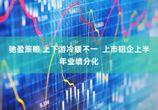 驰盈策略 上下游冷暖不一  上市铝企上半年业绩分化